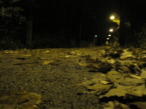 IMG_1007