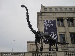 IMG_2301