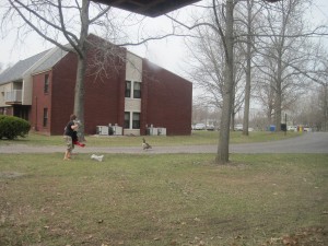 IMG_5996